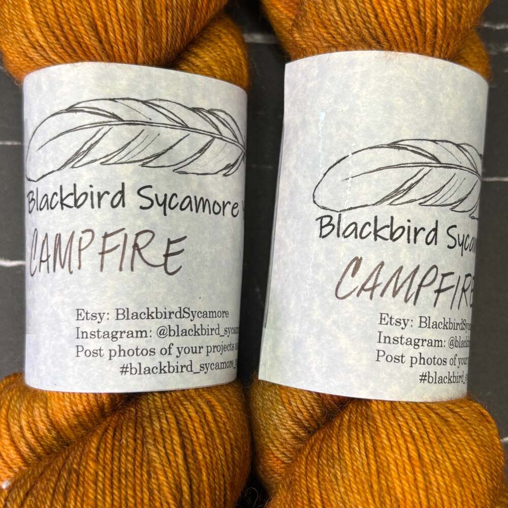 Blackbird Sycamore Campfire Hand Dyed Superwash Merino Yarn 2 Skeins